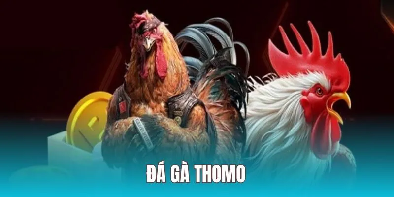 da ga thomo anh dai dien